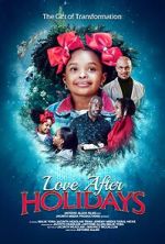 Watch Love After Holidays Alluc